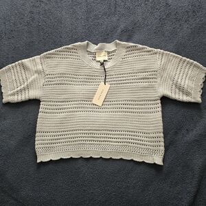 Pink Rose Open-Knit Short Sleeve Crewneck Sweater in Light Blue